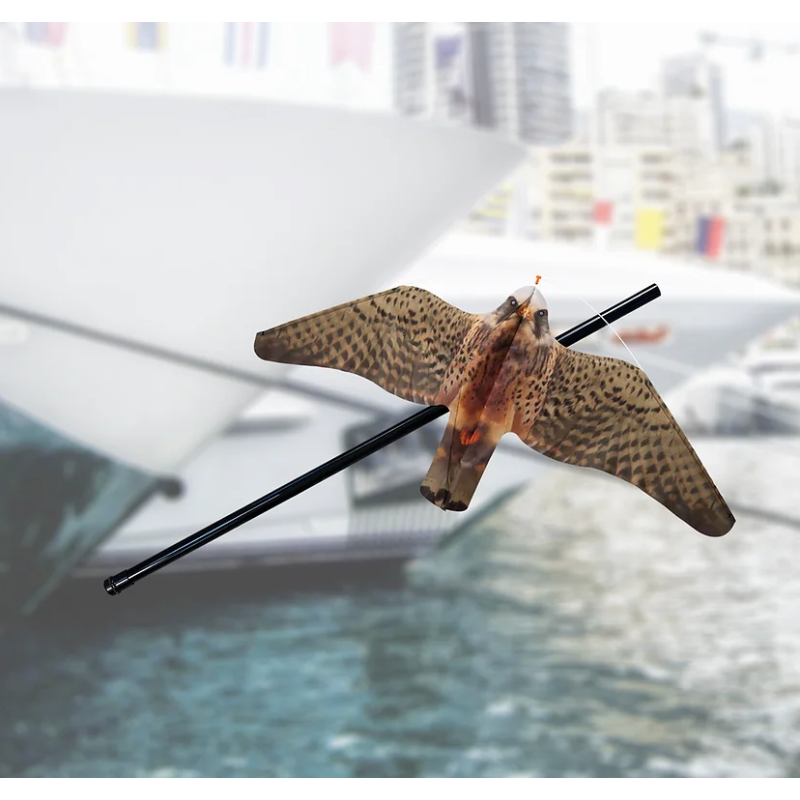 STOPGULL Falcon