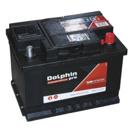 Batterie marine DOLPHIN PRO