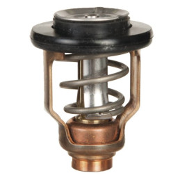 Thermostat pour moteurs...