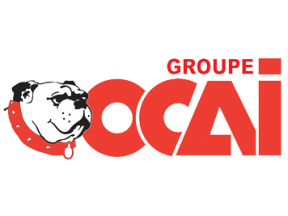 OCAI
